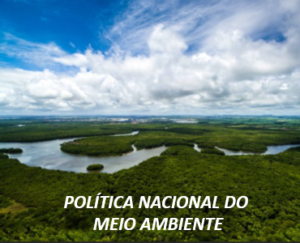 A Pol Tica Nacional Do Meio Ambiente Para O Ibama E Icmbio