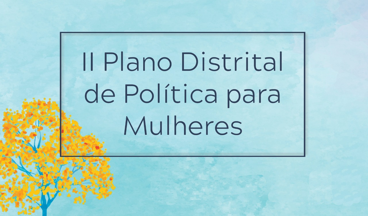 Plano Distrital De Pol Ticas Para Mulheres Memorex