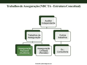 2 - Normas Profissionais de Auditoria - OK