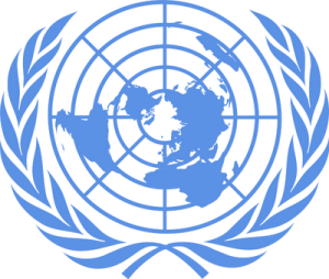 Organização das Nações Unidas: Resumo PC-SC