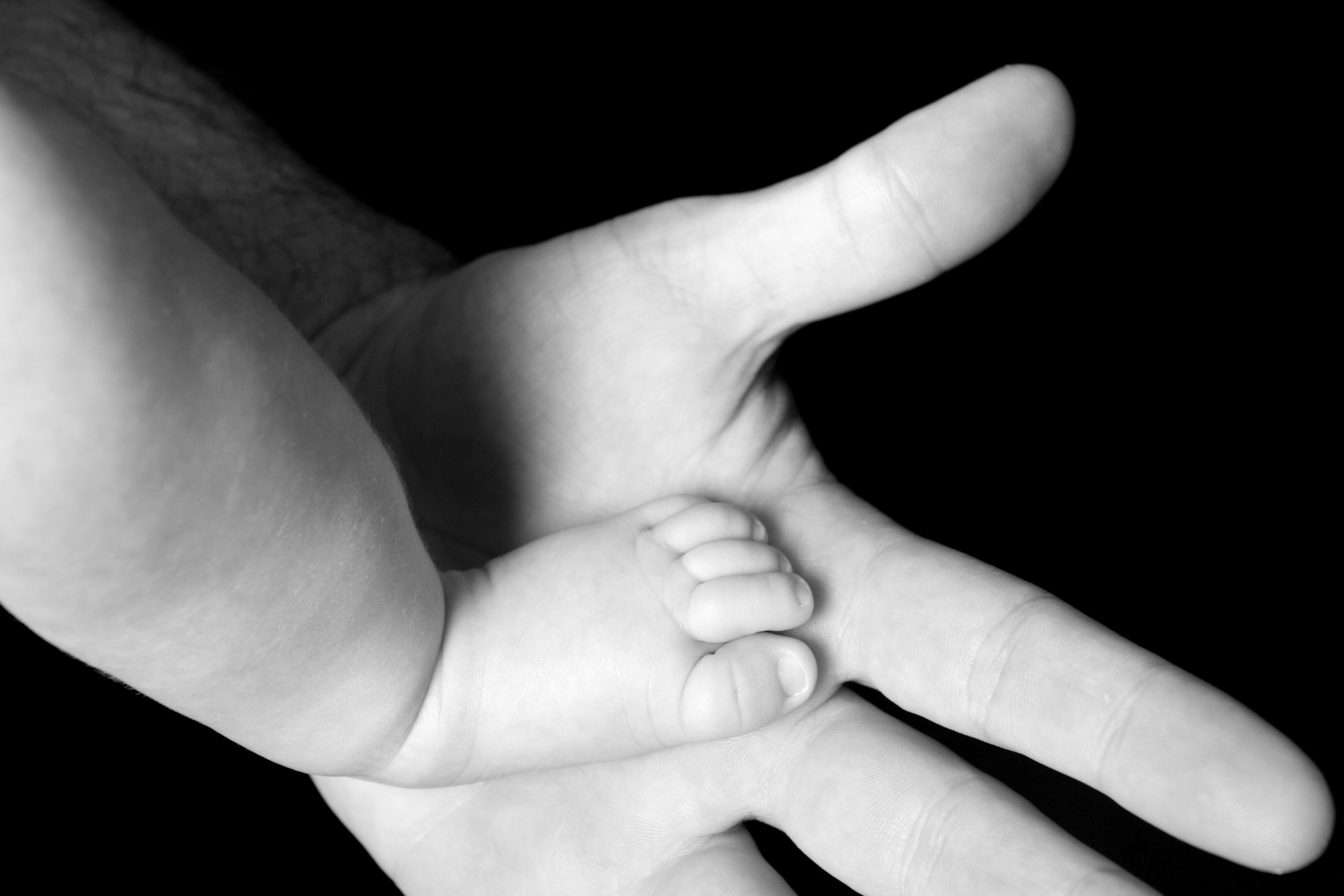 licença-paternidade