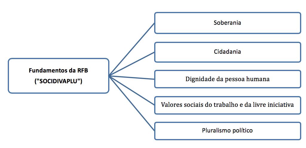 Princípios Fundamentais Tudo que Você Precisa Saber