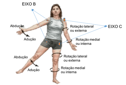 O Que é Extensão Anatomia