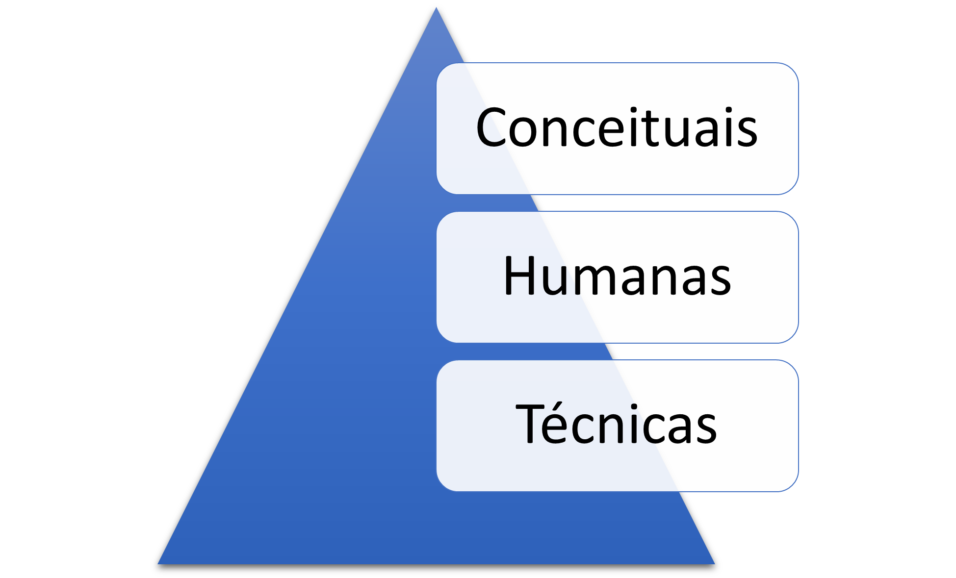 Aula Conceitual 3º Setor