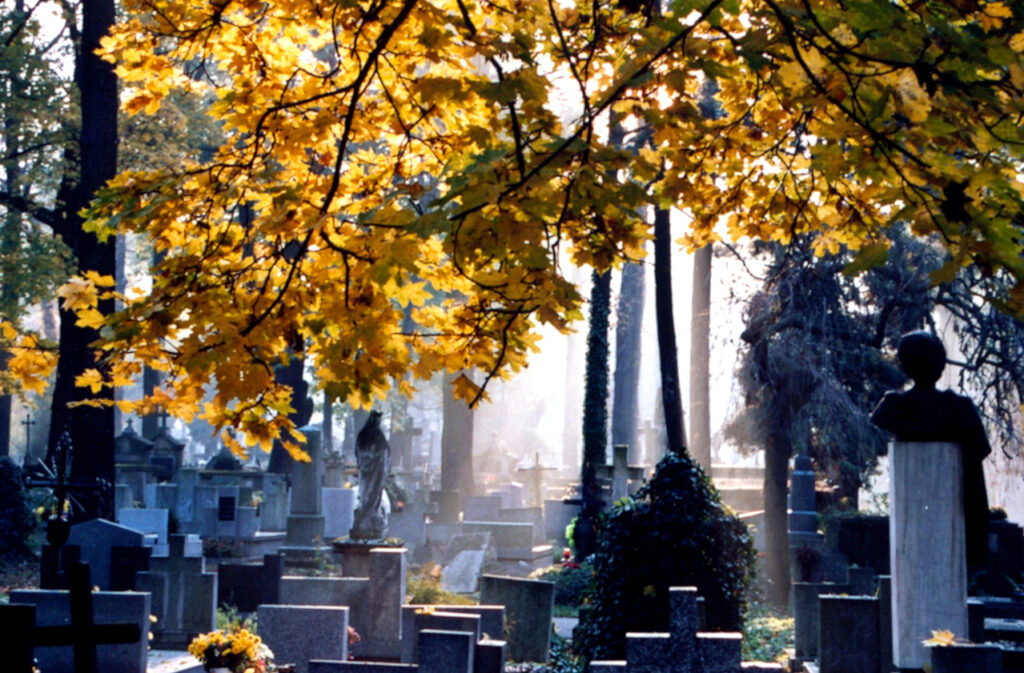Algumas igrejas mantêm cemitérios em suas propriedades. Não seria essa uma extensão da atividade religiosa?