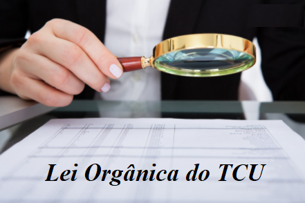 A Lei Orgânica do TCU: Julgamento e Fiscalização do Tribunal