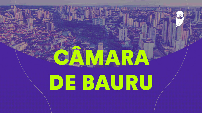 Copa do Mundo 2022: Câmara de Bauru informa o horário de funcionamento  durante os jogos do Brasil - Câmara Municipal de Bauru