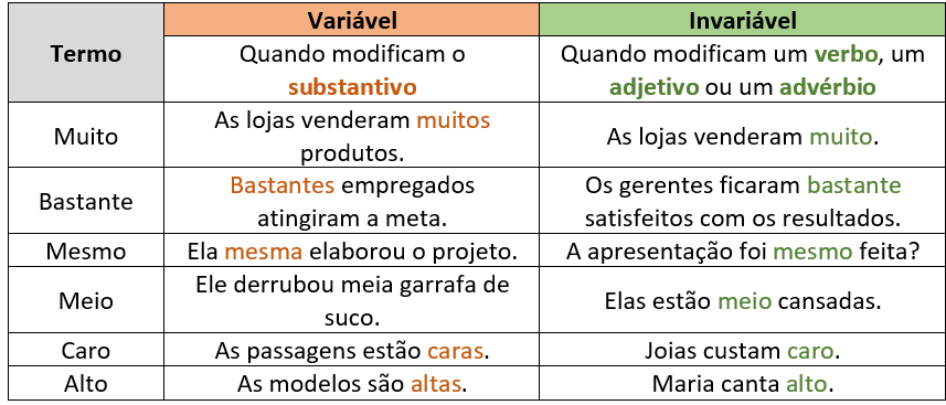 Concordância verbal e nominal para o INSS