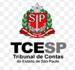 TCE SP: Direito Civi