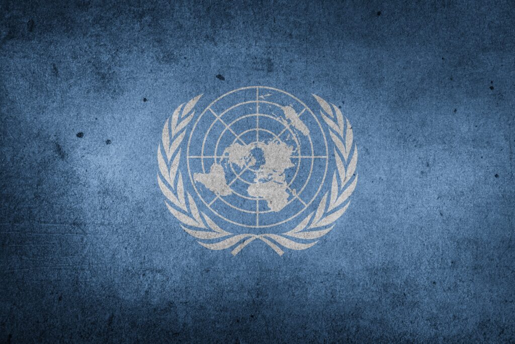 A ONU é uma das organizações que buscam a construção e a aplicação de um direito internacional público