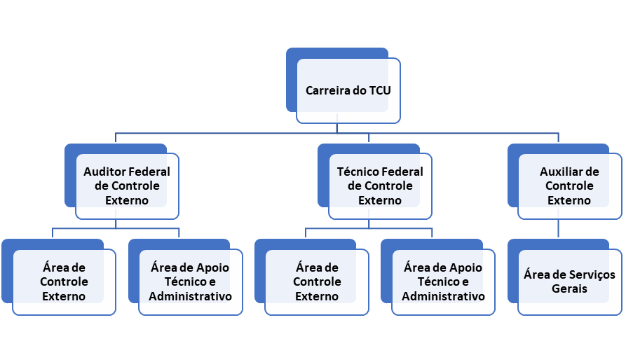 Figura 1 – Divisão dos Cargos na Carreira do TCU.