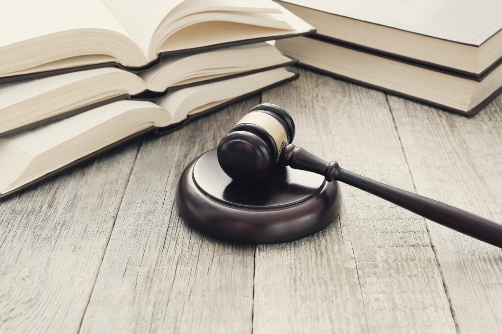 Os princípios do Direito Civil servem primariamente para orientar na aplicação da lei