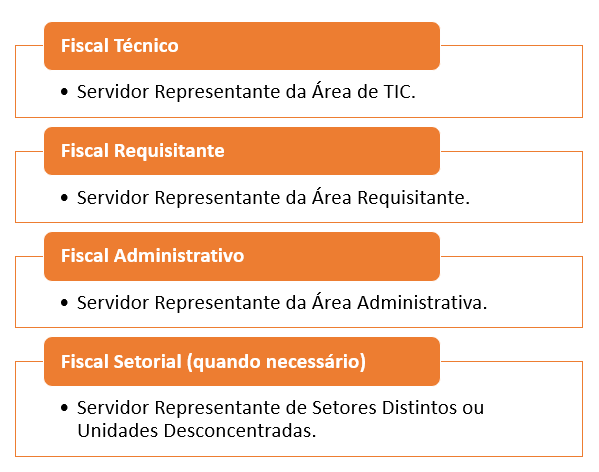 Figura 2 – Equipe de Fiscalização do Contrato da IN 94/2022.