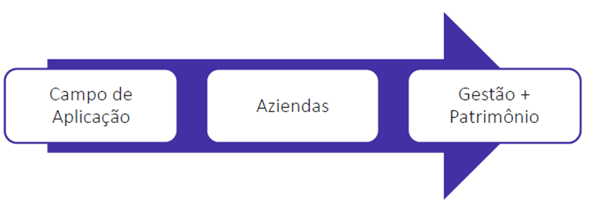 Contabilidade para SEFAZ-RJ: Conceitos básicos