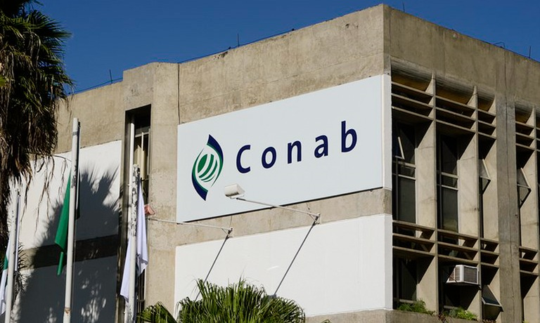 conab 2025