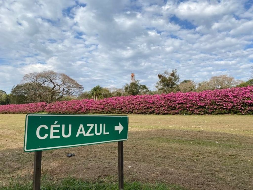 Veja o cronograma de datas do Concurso de Céu azul PR