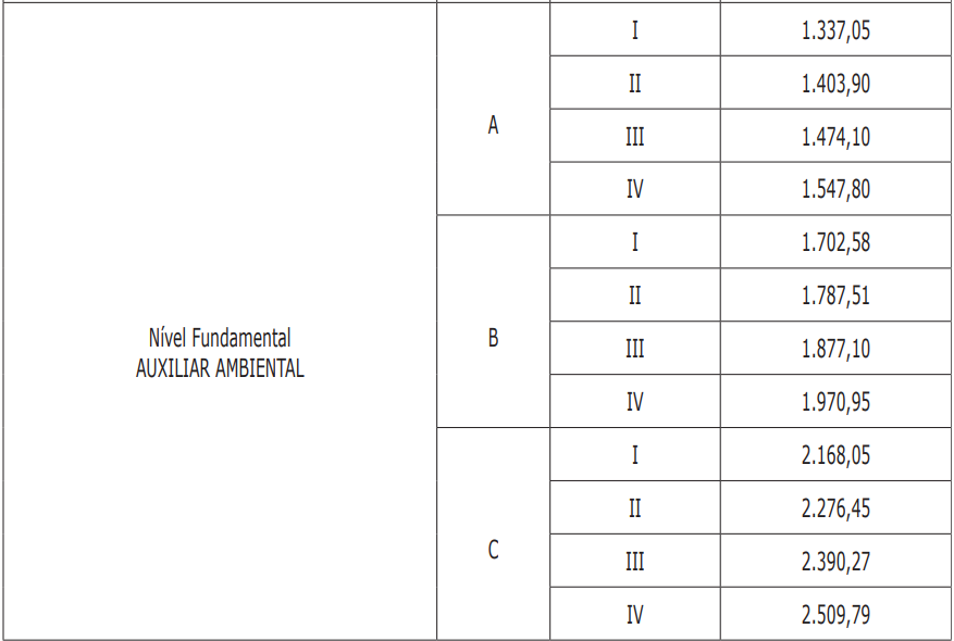 Estrutura remuneratória do cargo de nível fundamental