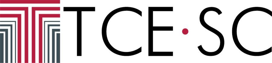 recrutamento interno e externo gestão de pessoas administração tce sc